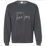 Load image into Gallery viewer, Literally Freezing | Sweatshirt

